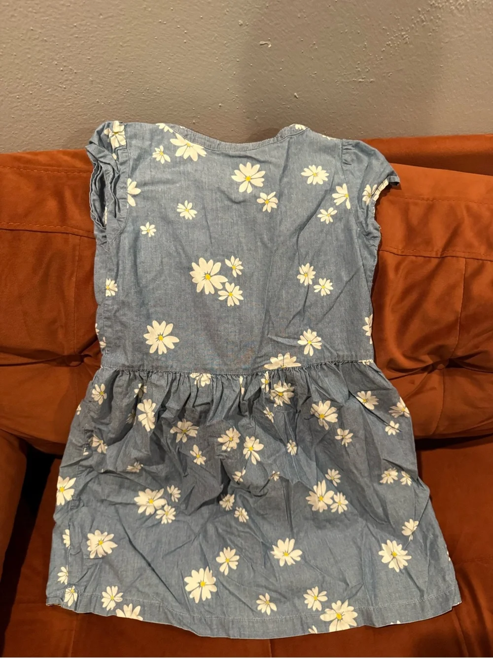 Carter's Blue Floral Daisy Button-Front Dress